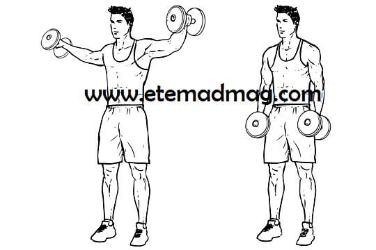 تمرینات بدنسازی مناسب برای شانه و پشت - حرکت نشر از جانب با دمبل (Dumbbell lateral raises)
