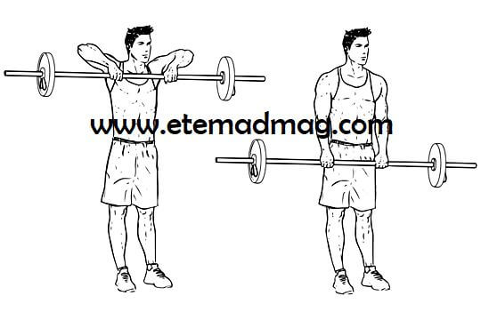 تمرینات بدنسازی مناسب برای شانه و پشت - سرکول با هالتر (EZ bar upright rows)