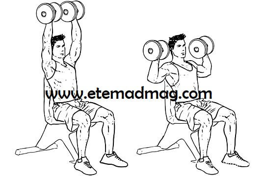 تمرینات بدنسازی مناسب برای شانه و پشت - پرس نشسته سر شانه با دمبل (Seated dumbbell shoulder press)