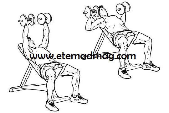 تمرینات بدنسازی قدرتی - حرکت پرس بالا سینه در دمبل (Incline dumbbell press)