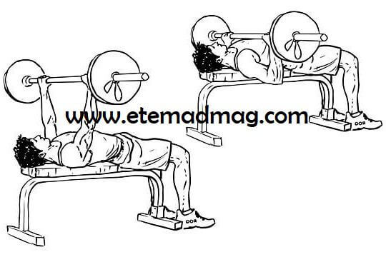 تمرینات بدنسازی قدرتی - حرکت پرس سینه با هالتر روی نیمکت (Flat bench barbell press)