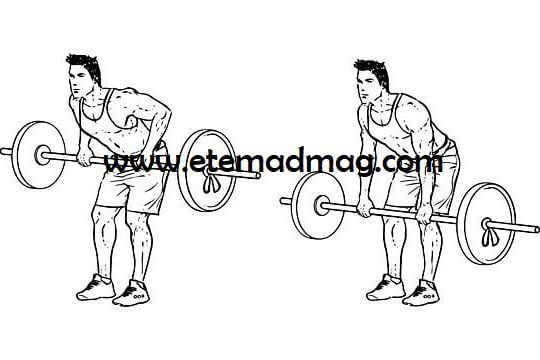 تمرینات بدنسازی قدرتی - حرکت زیر بغل هالتر خم (Barbell bent-over rows)