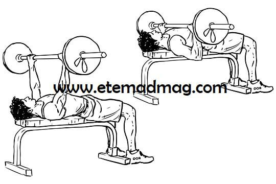 حرکات بدنسازی مناسب سینه و بازو - پرس سینه با دمبل (Flat bench barbell press)
