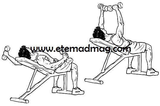 حرکات بدنسازی مناسب سینه و بازو - پرس سینه بالا (Incline dumbbell flyes)