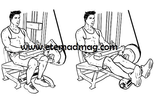 تمرینات بدنسازی مناسب برای تقویت پا - حرکت پشت ران (Hamstring curls)