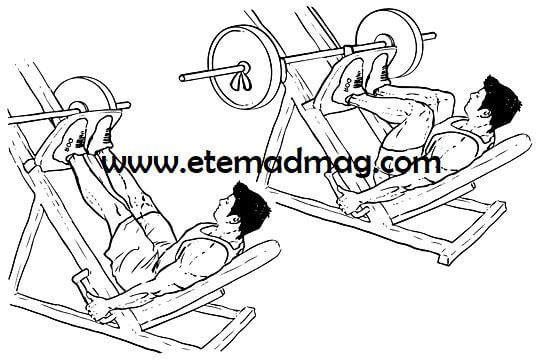 تمرینات بدنسازی مناسب برای تقویت پا - حرکت پرس پا (Leg press machine)