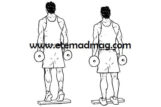 تمرینات بدنسازی مناسب برای تقویت پا - حرکت ساق پا نشسته یا ایستاده (calf raises)