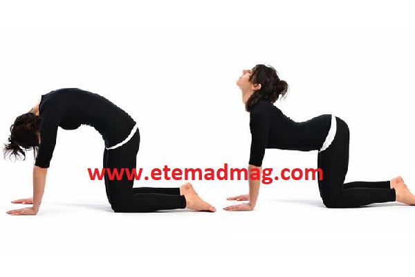 حالت گربه گاو - بهترین حرکات یوگا برای کودکان مبتلا به اوتیسم