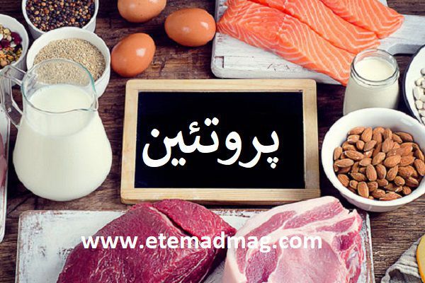 کاهش وزن بدون رژیم و ورزش با غذاهای پروتئینی