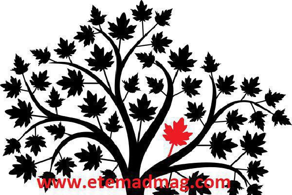 برای افزایش انگیزه به محیط اطراف تان توجه کنید