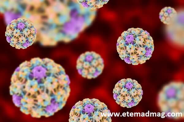 HPV می تواند منجر به سرطان دهانه رحم شود